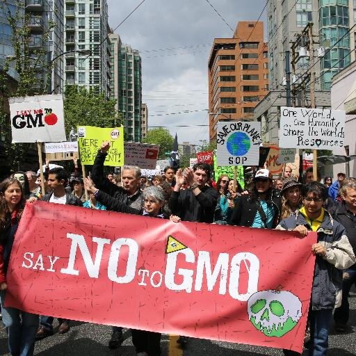There is a challenge: GMO-LESS for a week!