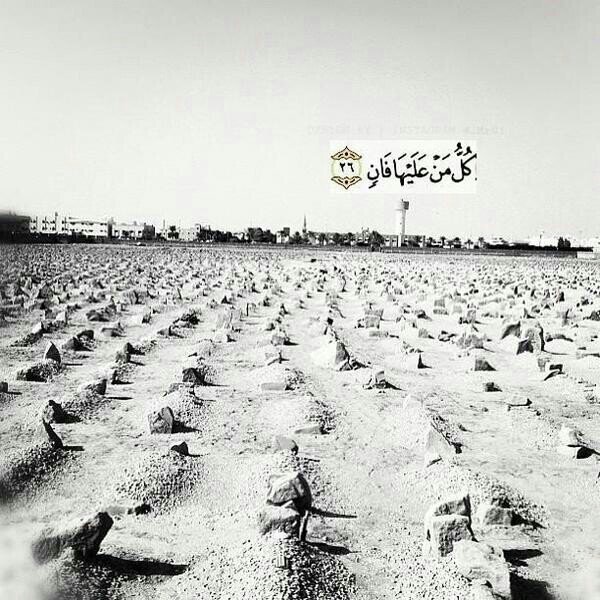 ‏‏استغفرالله و الحمدلله عدد ماكان و عدد ما سيكون و عدد الحركات والسكون   .. توفى عامر رحمة الله عليه  ادعوا له بالثبات والمغفره و سامحوه