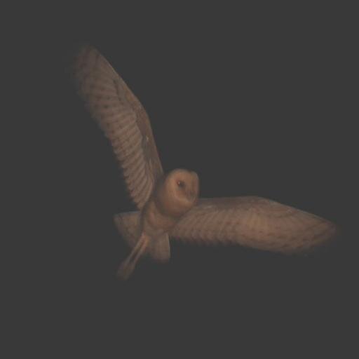 Hairlessmamal's profile picture. 