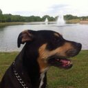 Bruce Bailey - @BruceBailey19 - Twitter