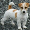 Lynda Marie Pratt - @pratsalscom - Twitter