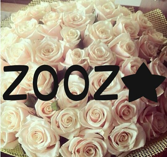 instagram:_zooz56 عطيتك فولو وترده لي جعلك بالجنه♥