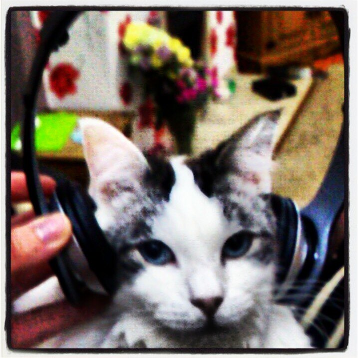 Track24Hour's profile picture. 