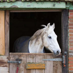 AaronTilton3103's profile picture. 