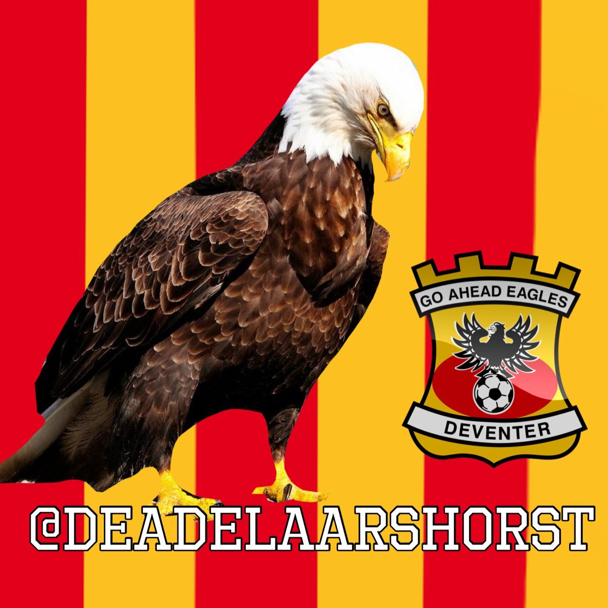 Go Ahead Eagles Profile