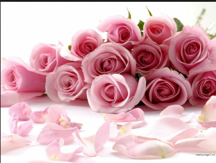 Eevery day is agift .dont  send it back unopend