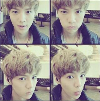 LUHAN! 鹿晗 from EXO-M