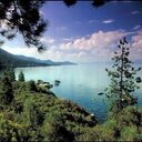 Miranda Holman - @Miranda_96108 - Twitter