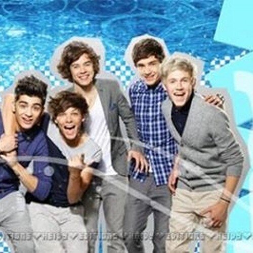 AbrilVillafan's profile picture. Fanatica de One Direction