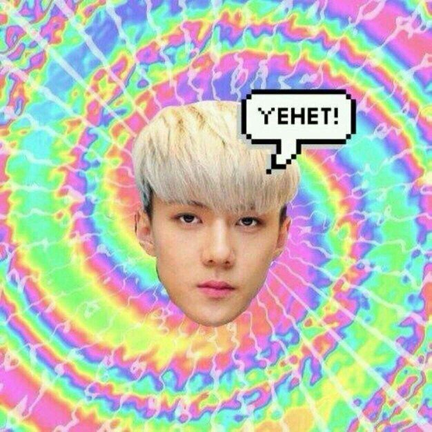 wuyifantabulous's profile picture. Soy un Dorito.