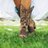 Profile Picture of Country Lyrics (@realcountrymsic) on Twitter