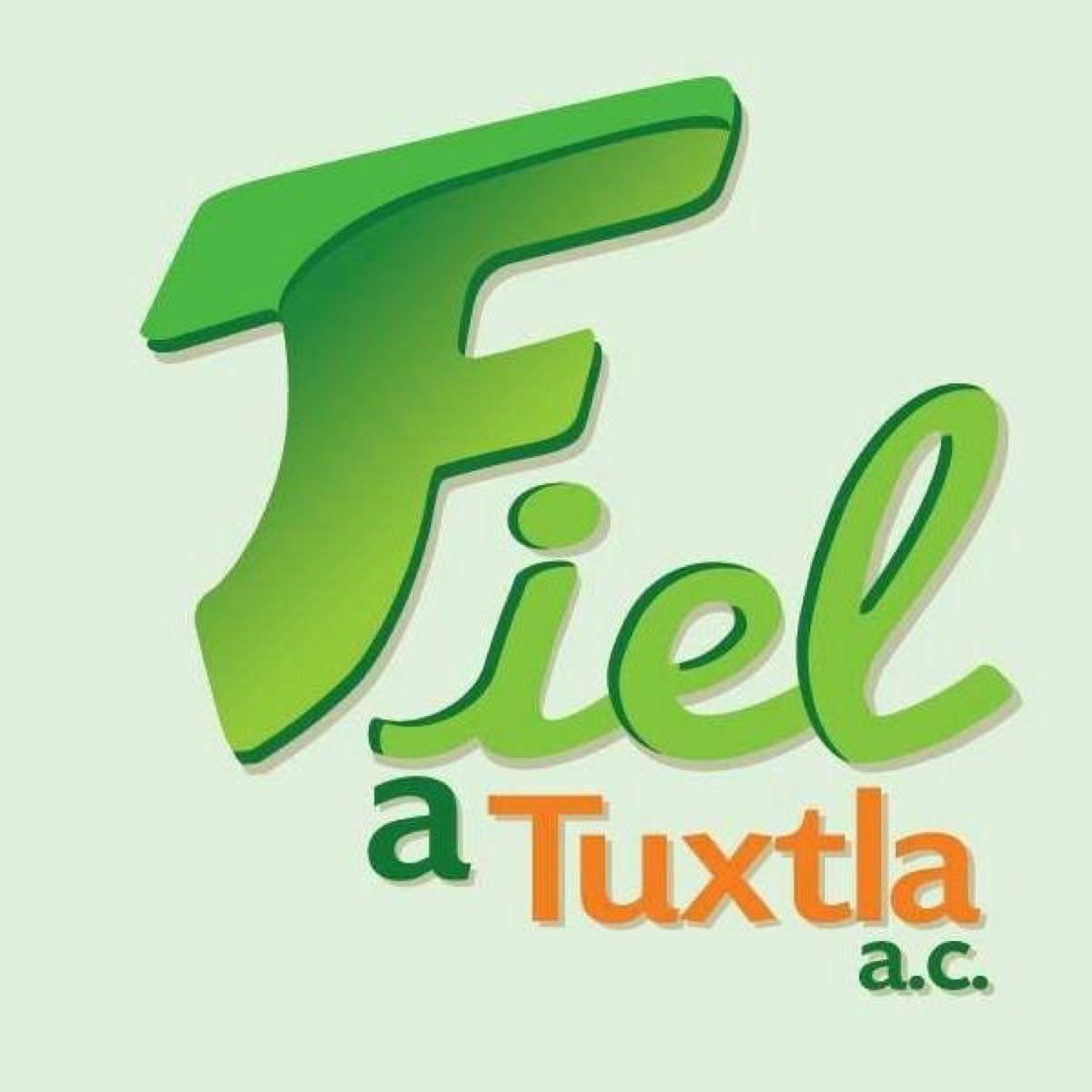 FIEL a la Educación, FIEL al Medio Ambiente, FIEL a la Salud, FIEL a la Alimentación, FIEL al Deporte ¡FIEL A TUXTLA!