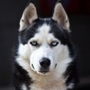 Leon Forrest - @Thermal_Lucky - Twitter