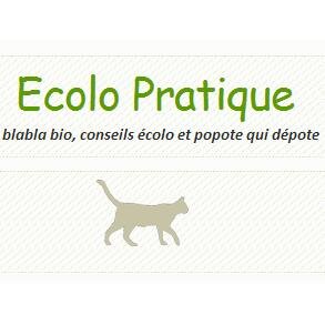 L'écologie c'est faire des économies de temps, d'argent et de planète ! #ecologie #ecolonomie