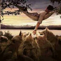 V I P (@qatar17830) Twitter profile photo