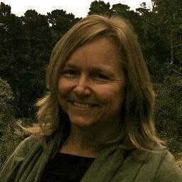 Acupuncturist/Herbalist @ Wellness Energetics
