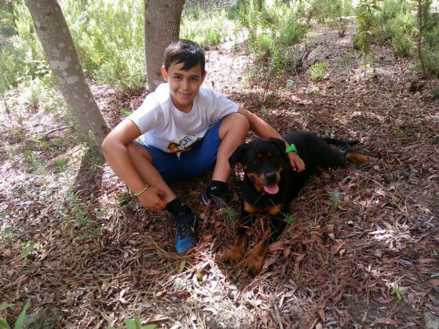 RaulMosegue's profile picture. 