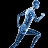 Sports injuries (rehab), sport conditioning, fitness, friends, lekker braai, family man