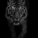 بنت مطيـر ../ (@22_Rmadeih) Twitter