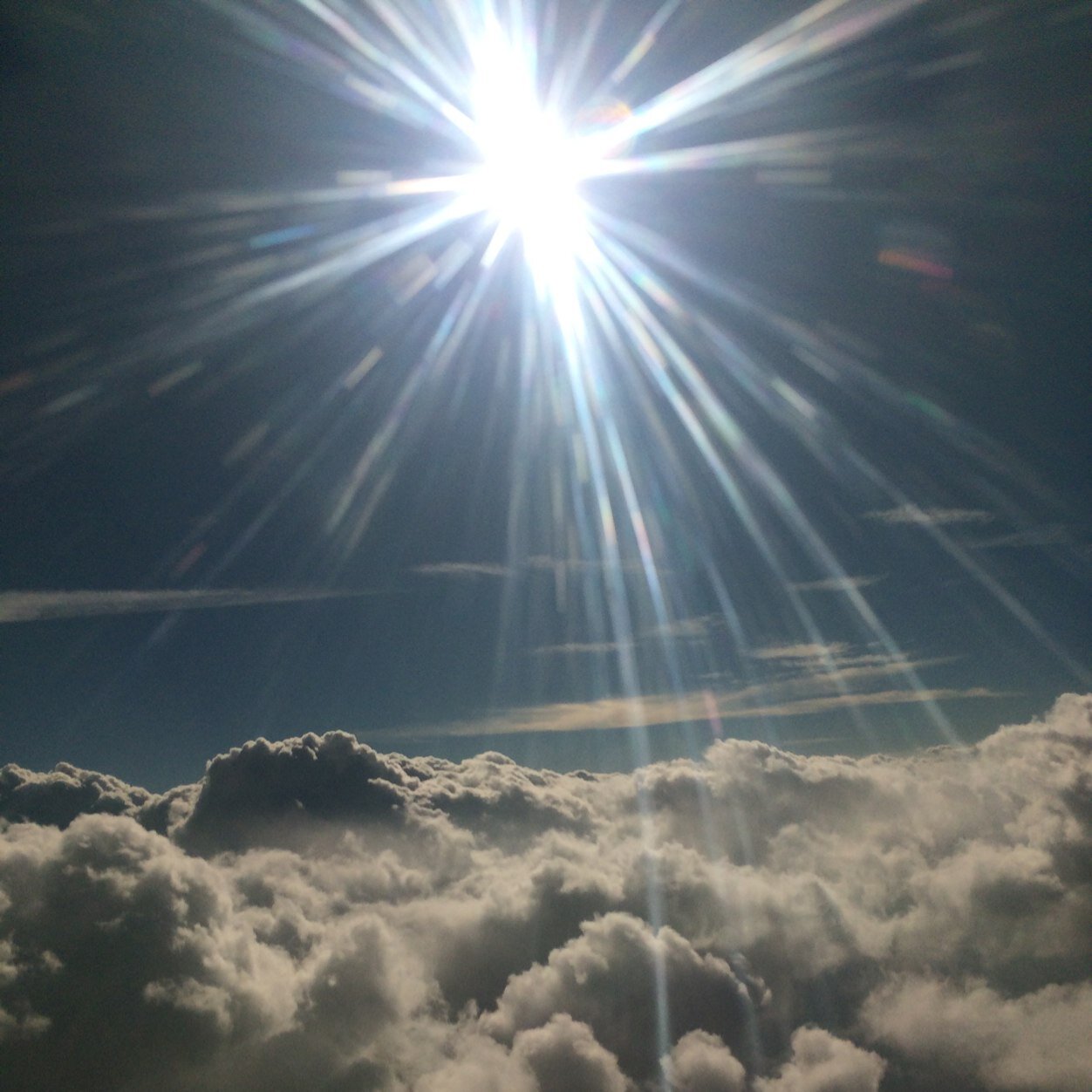 monester12's profile picture. 