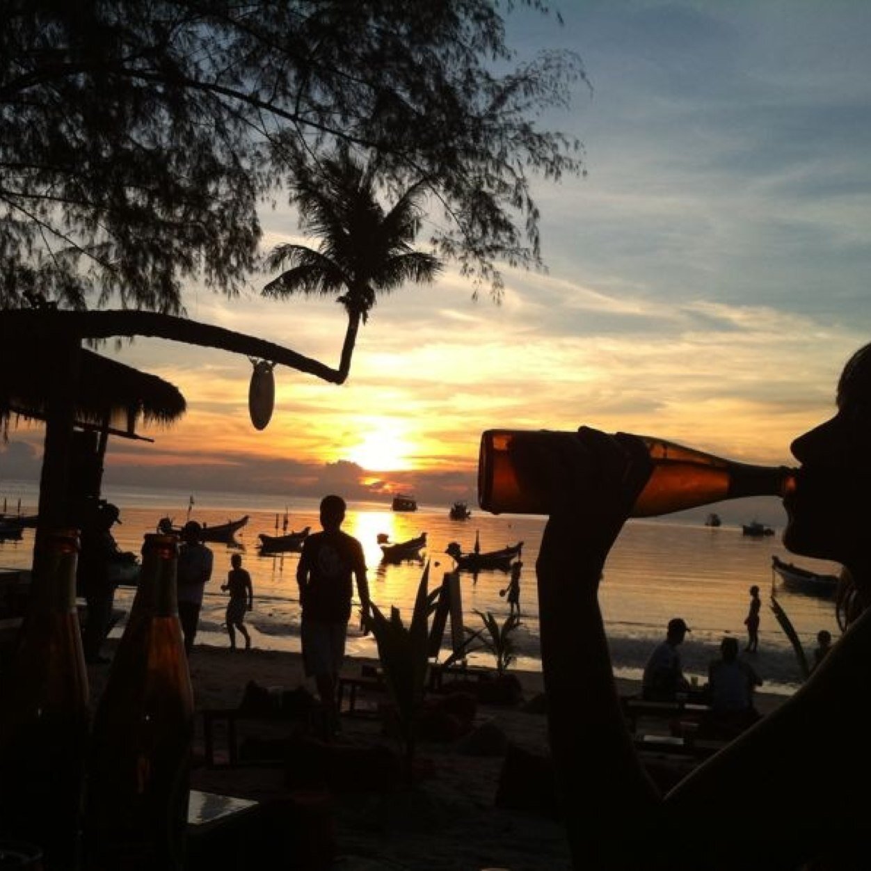 MUrquiaga's profile picture. From lost to the river