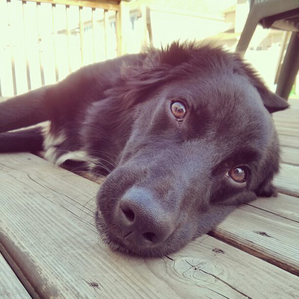 RockyRoadR's profile picture. 