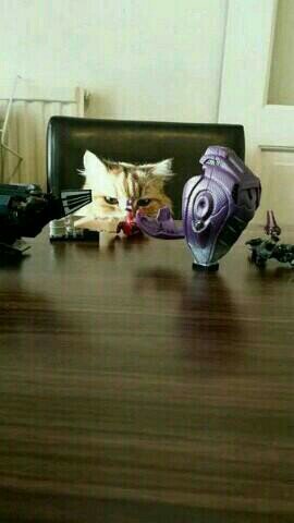 Ethanburgess063's profile picture. 