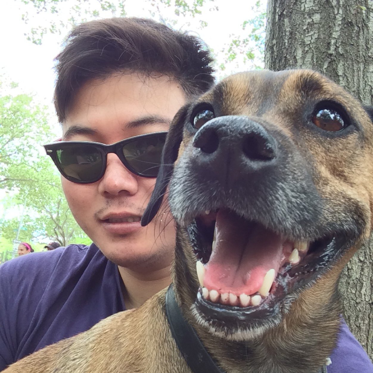 cdk's profile picture. Brooklynite, dog lover, pickleback aficionado. Developer at @barkbox. I'm like a tiger, I hate cinnamon.