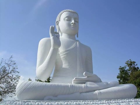 i am indian from up azamgrah atruliya