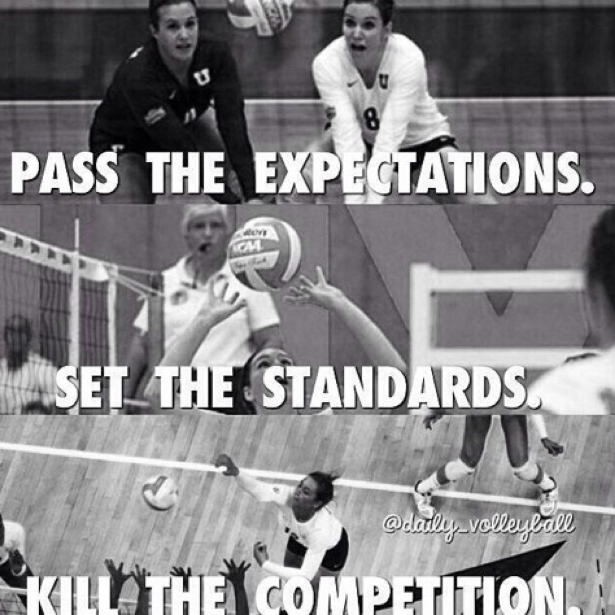 volleyball all day everyday