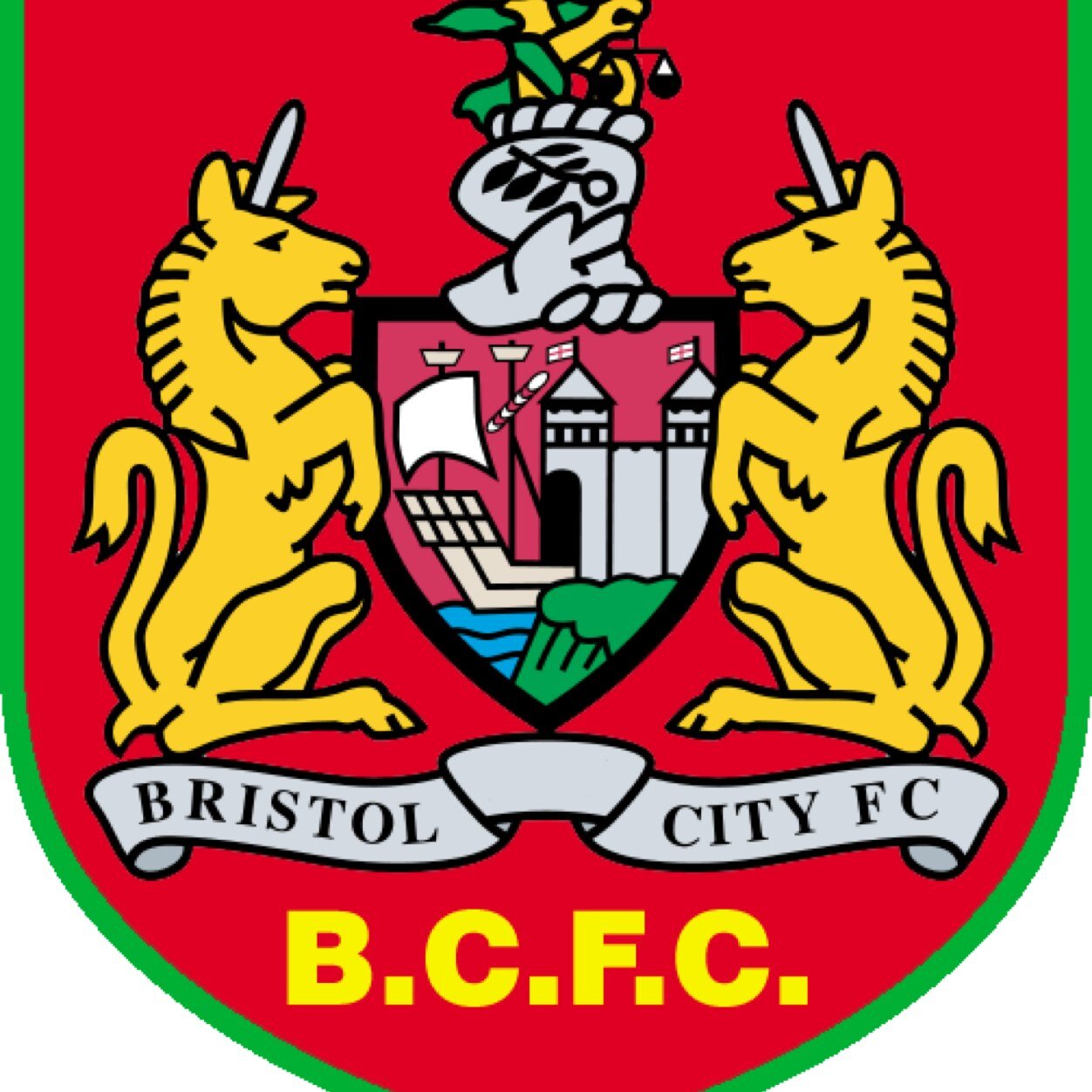 Family, pets, football #bristolcity