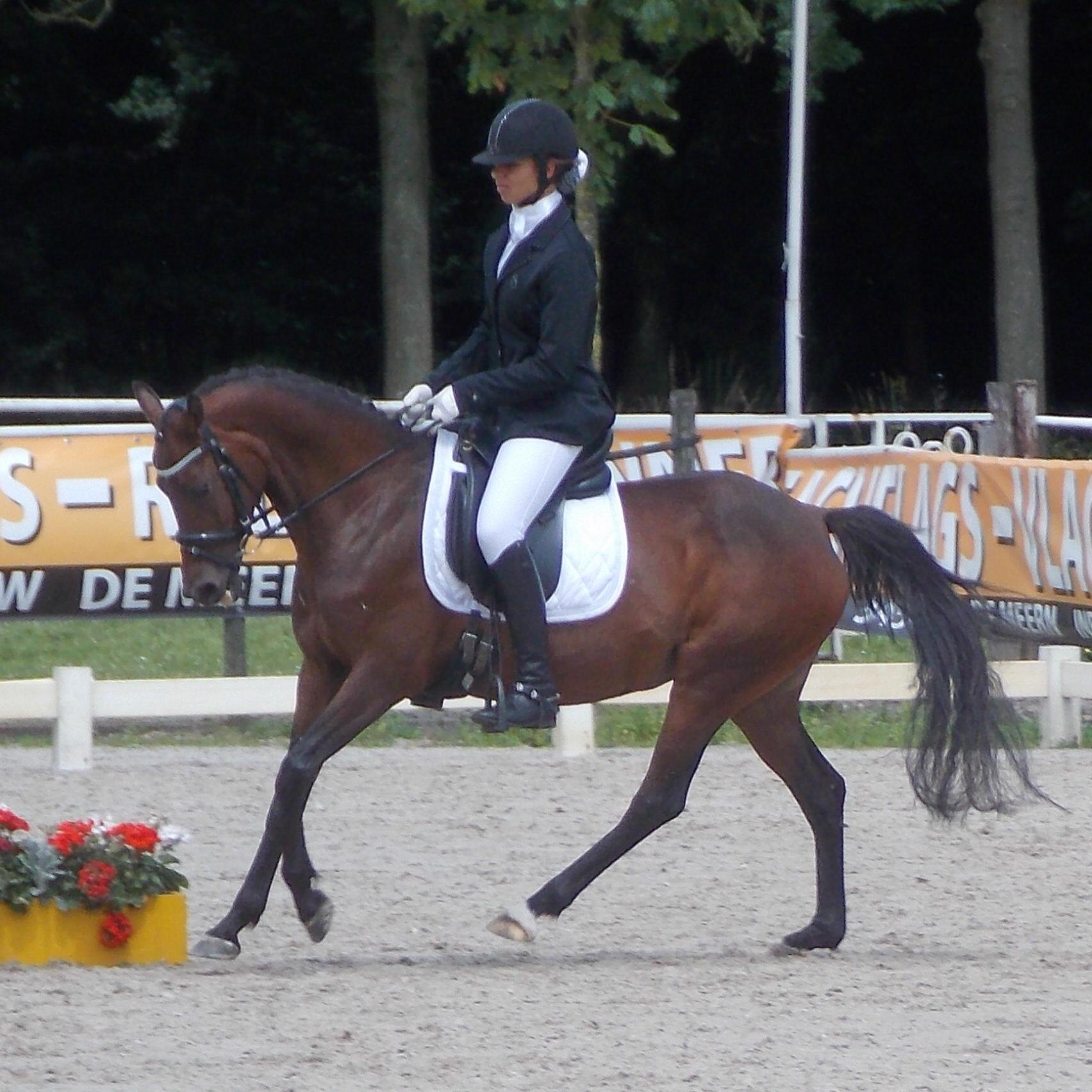 Who ever said diamonds are a girl's best friend, never owned a horse