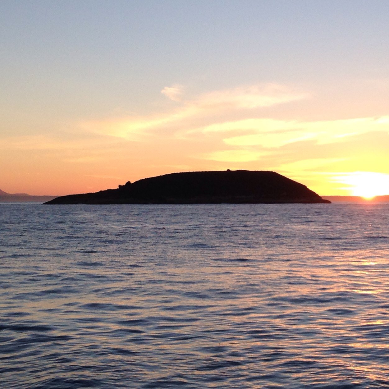 acastil1's profile picture. 