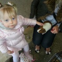 Laney Miller (@lalenaem24) 's Twitter Profile