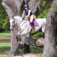 Maggie Thompson (@ttgtax) 's Twitter Profile