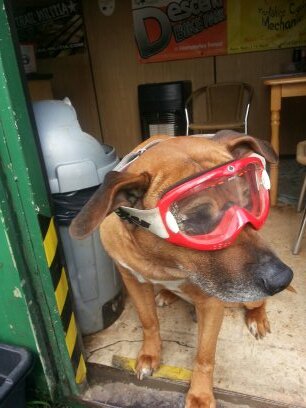 Joe1981311's profile picture. 