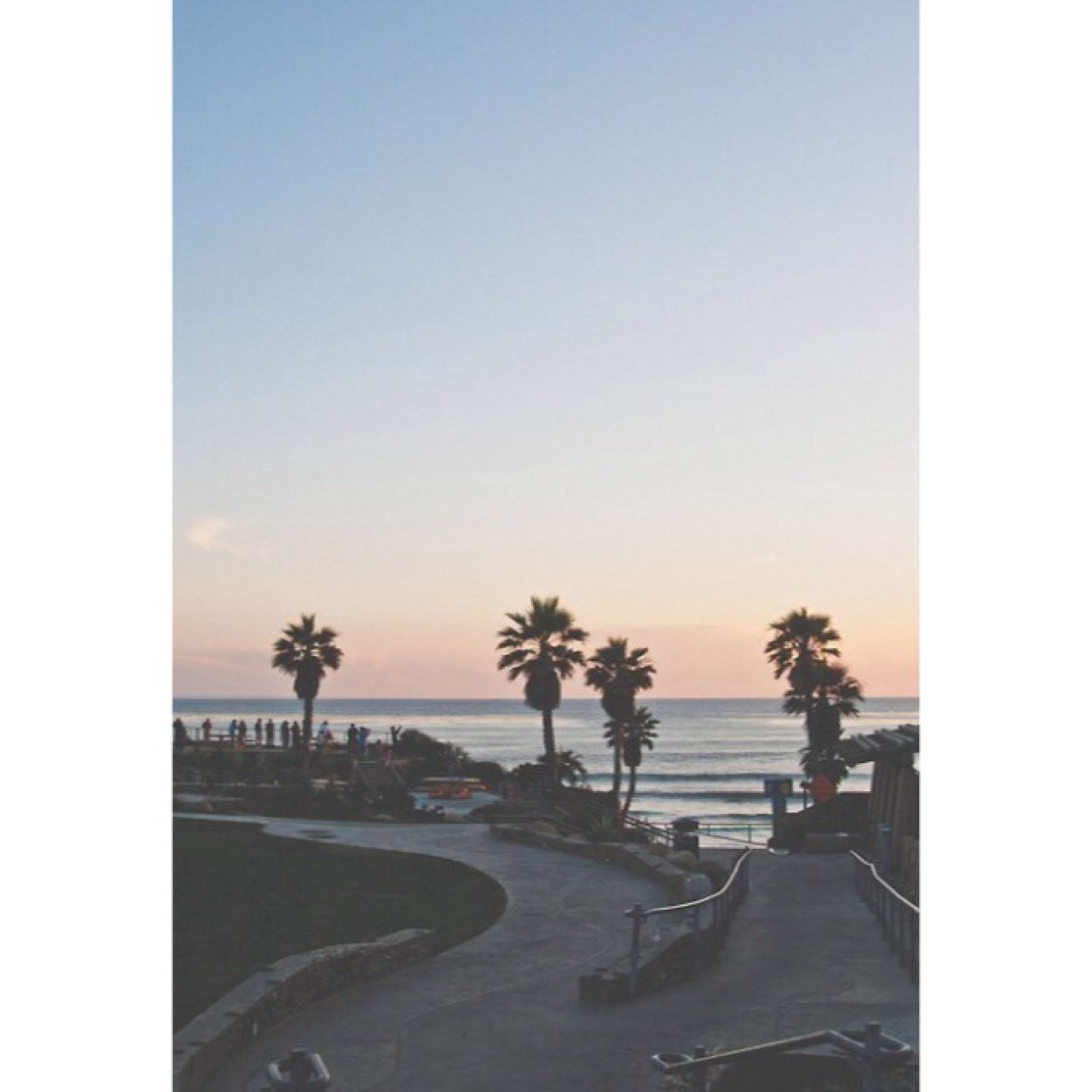 rxrevibes's profile picture. 