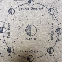 TheScienceAuthority (@tylerdorrity) Twitter profile photo