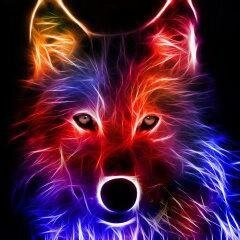 I would like for you to follow me back Please