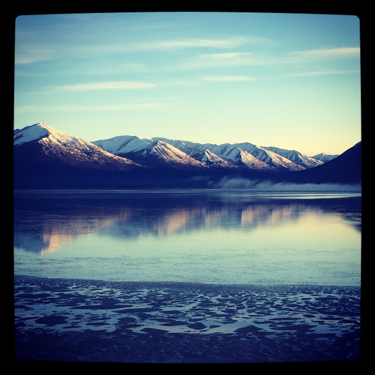 megElizbrown's profile picture. 