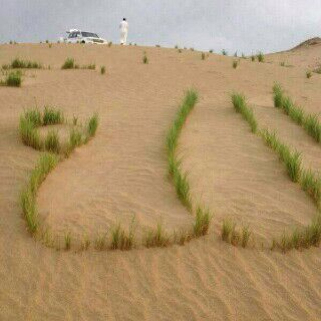 mrsh259's profile picture. مواطن مخلص لدينه ووطنه ومليكه