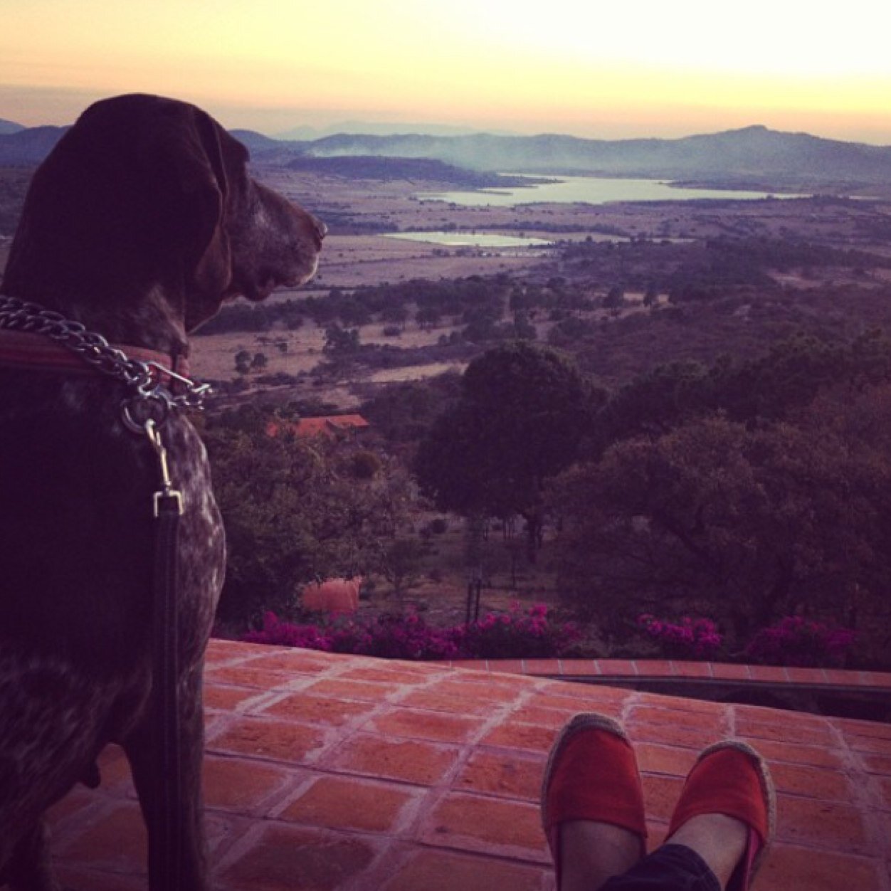 Mexican designer enjoying the perks of life. Looking for inspiration and intriguing stories in places and people.