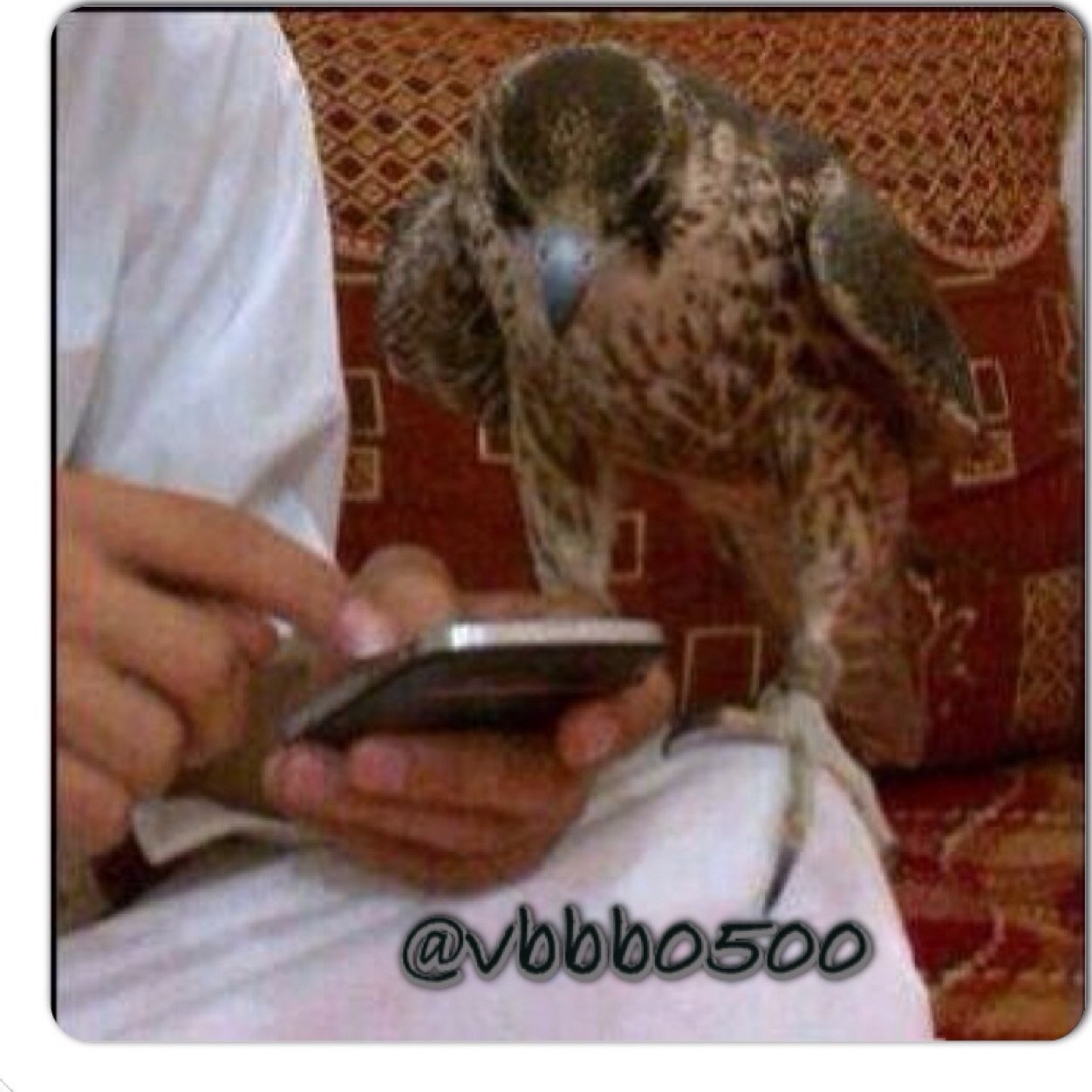 سبحان الله