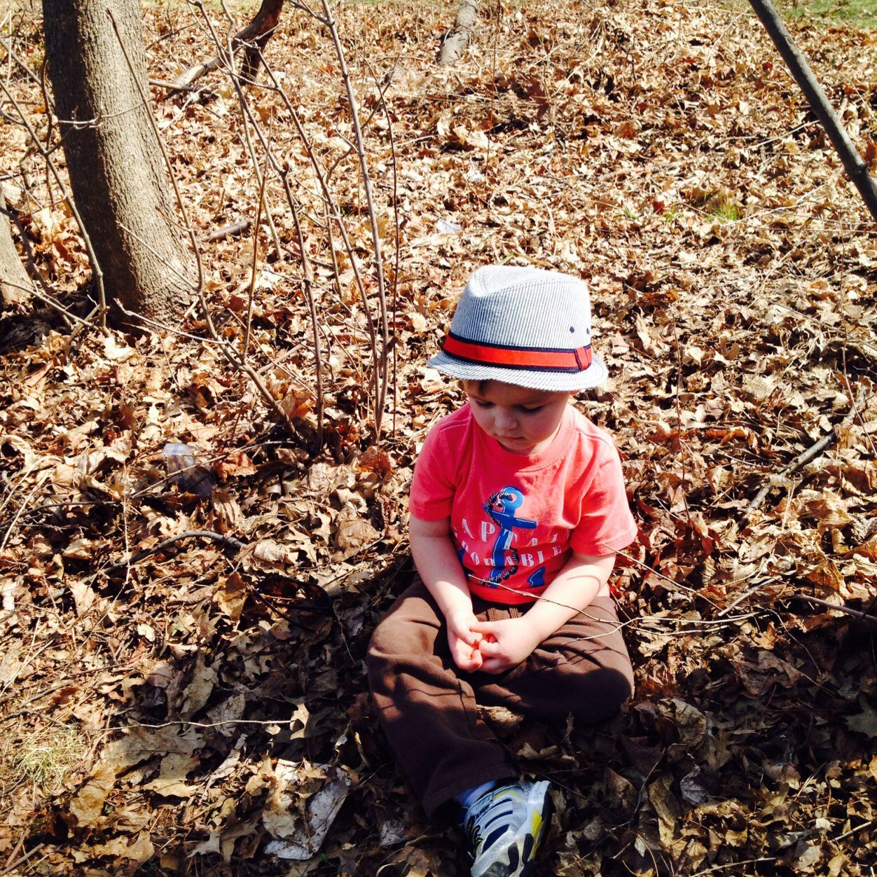 woozlekat's profile picture. 