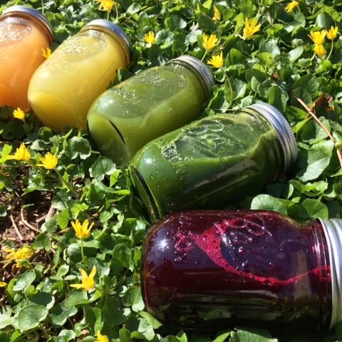 NaturesPalateJC's profile picture. ~Nature's Palate Juice Cleanses~Where the Heavens & Earth collide. Healthcare starts with YOU! Living foods are for living people!