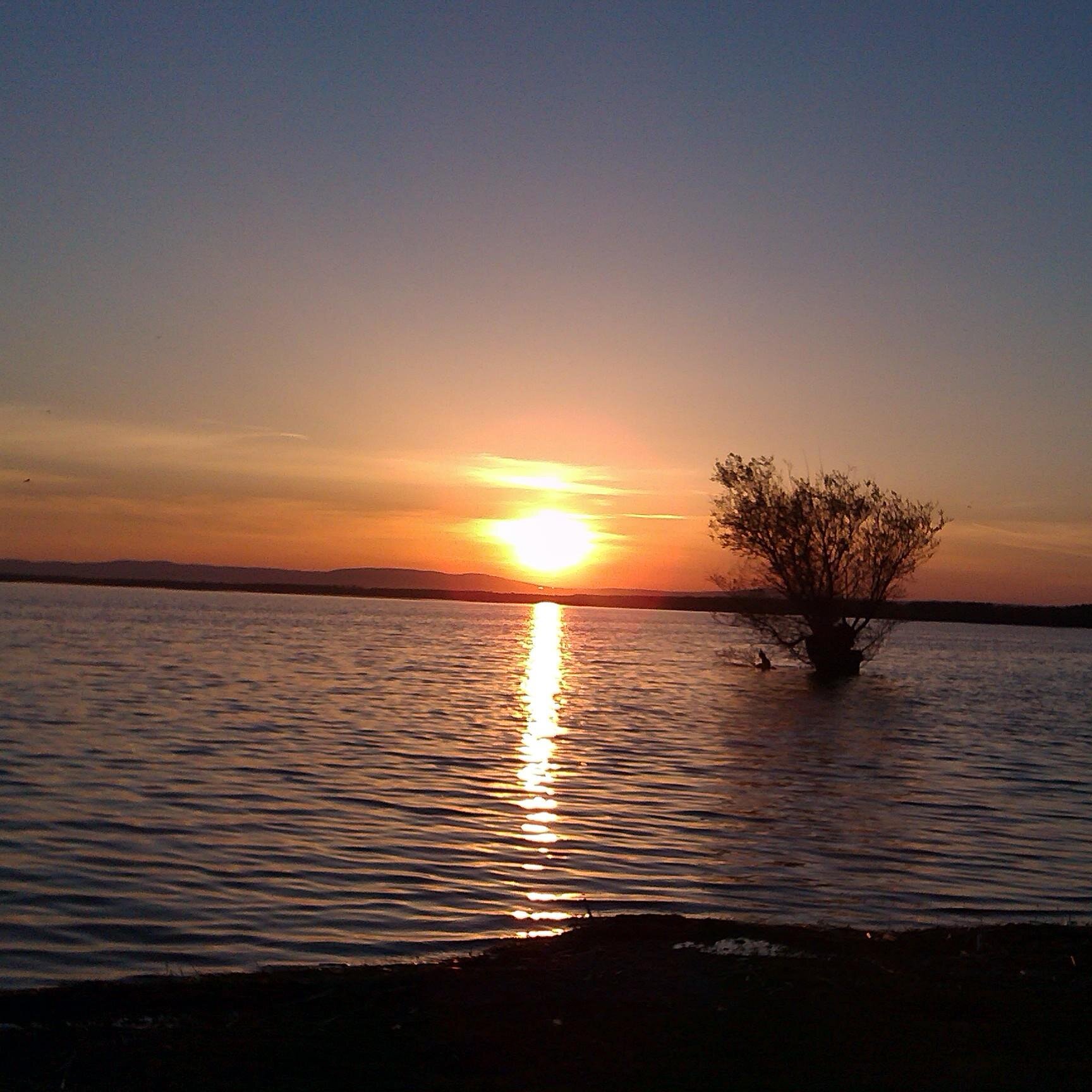 _sezin's profile picture. engineer...