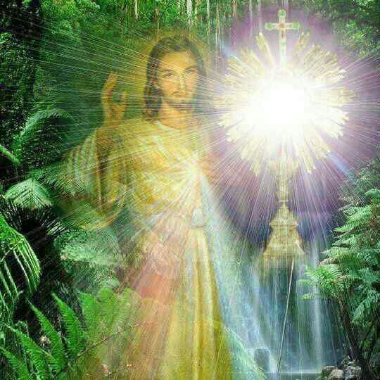 MarioEu06's profile picture. 