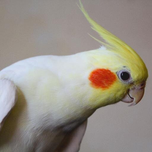 Nazteroid's profile picture. Read about me at https://t.co/1OajU8vnAK  

#BlackLivesMatter #CriminalJusticeReform 
#JavaScript #EasyProgramming #RaspberryPi #Python