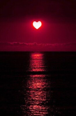 vayla06's profile picture. 