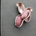 Ian Ives - @ianivester - Twitter